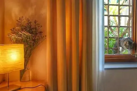 Perfect Location In Center Florence